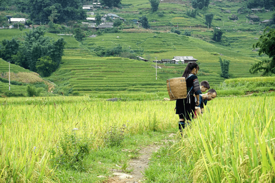 Why Vietnam is one of the best places to travel with kids