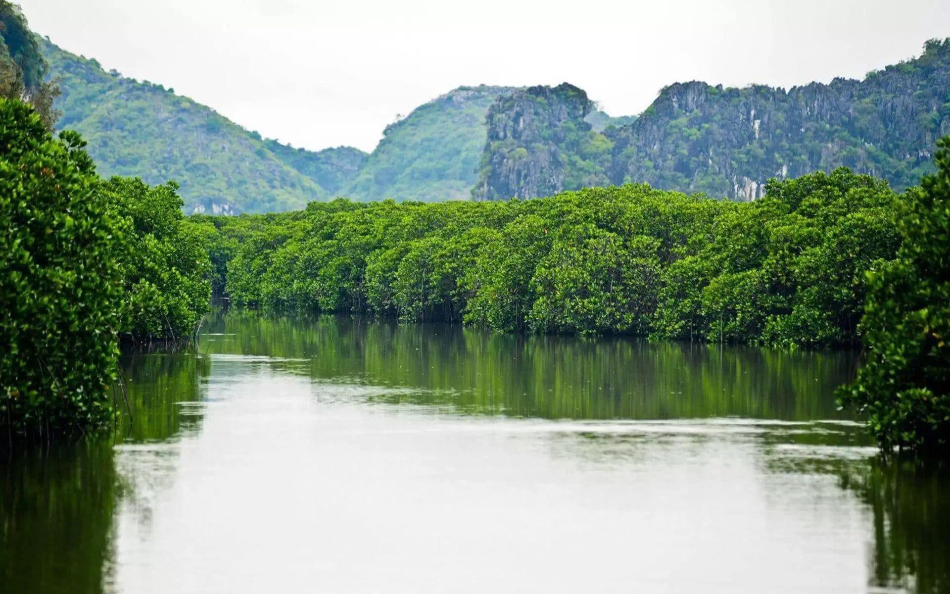 Cat Ba park