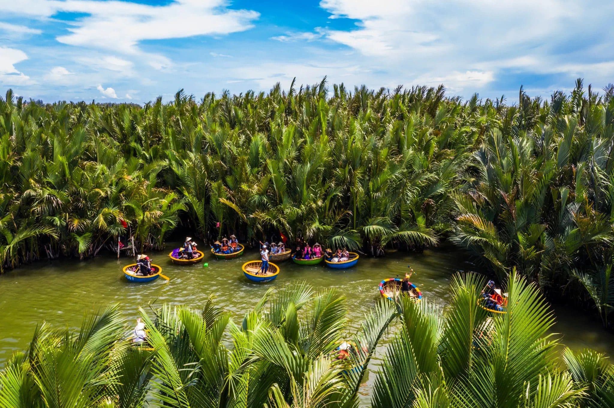 Coconut forest