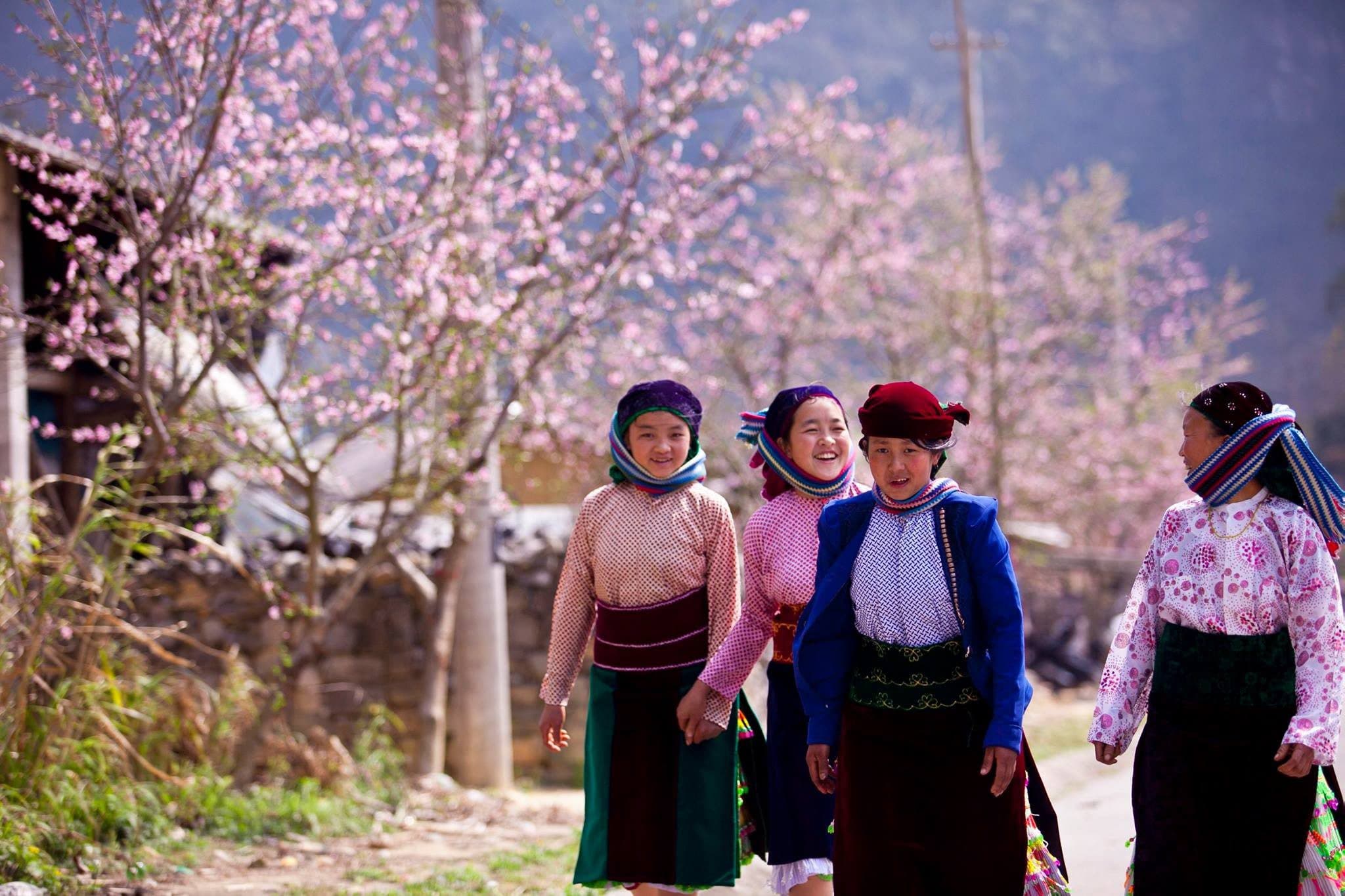 hmong family