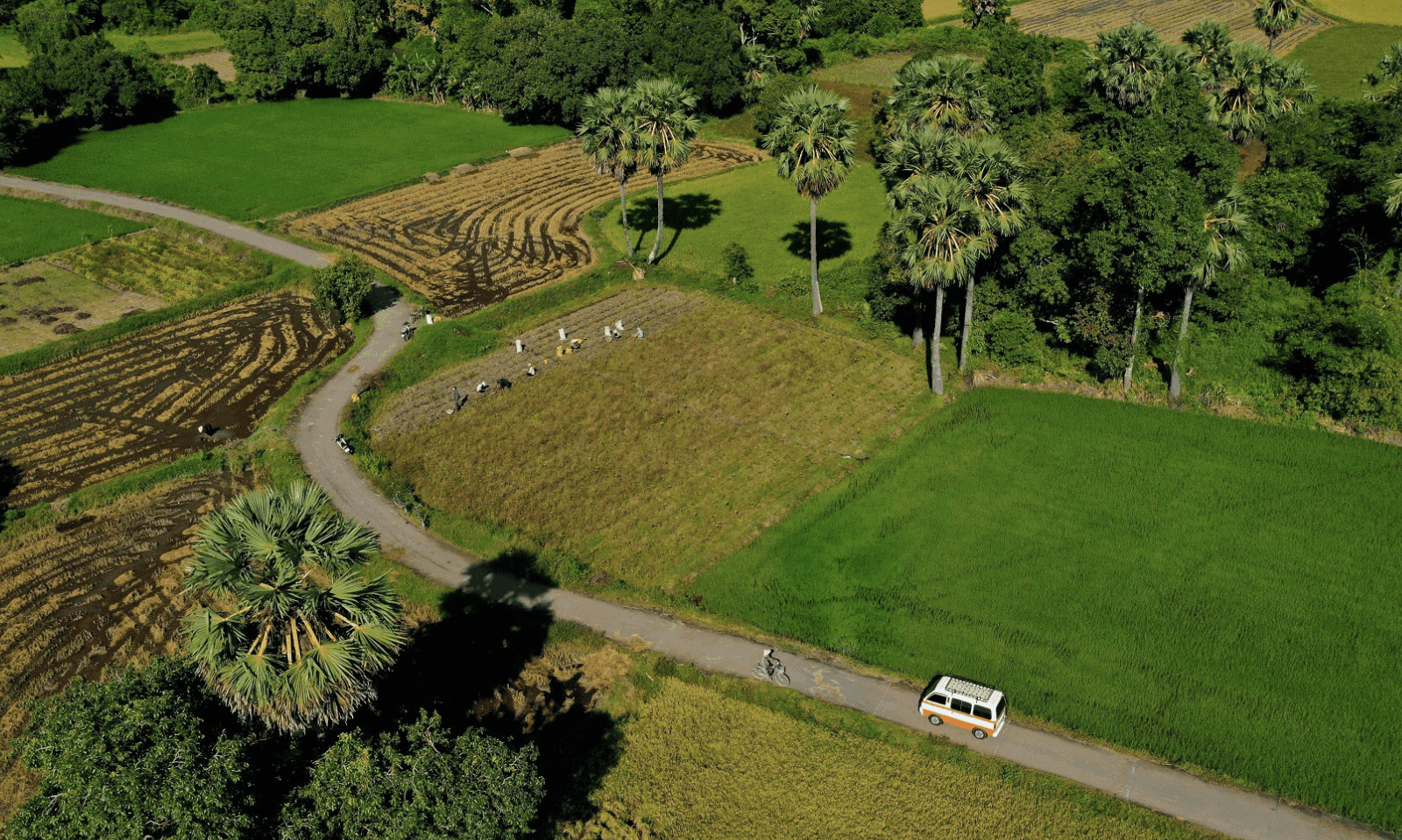 <strong>Enchanting Southwest Vietnam</strong>