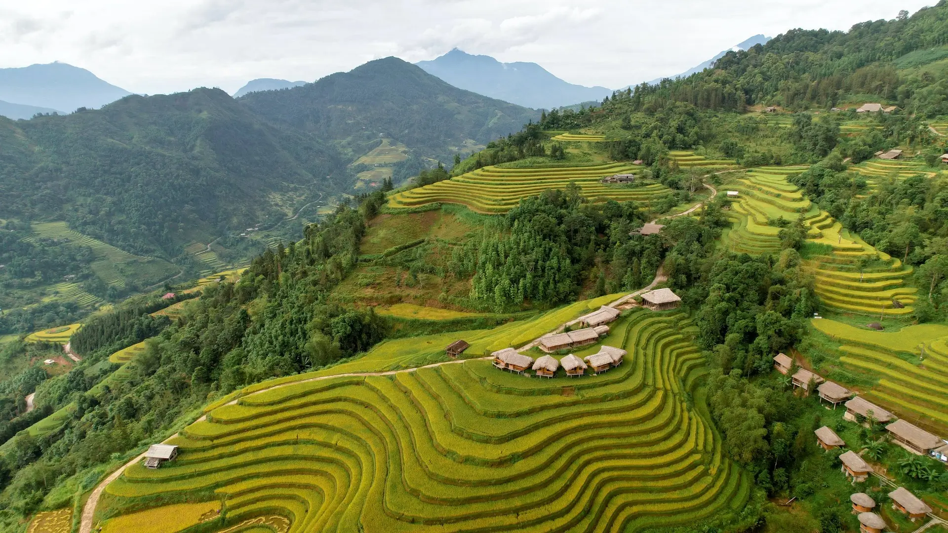 Everyday is a good day in Vietnam