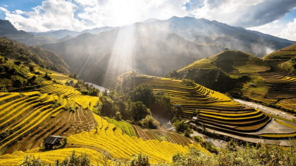 15 Reasons To Travel To Vietnam After COVID-19