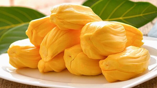 10 Fruits You Should Try While in Vietnam