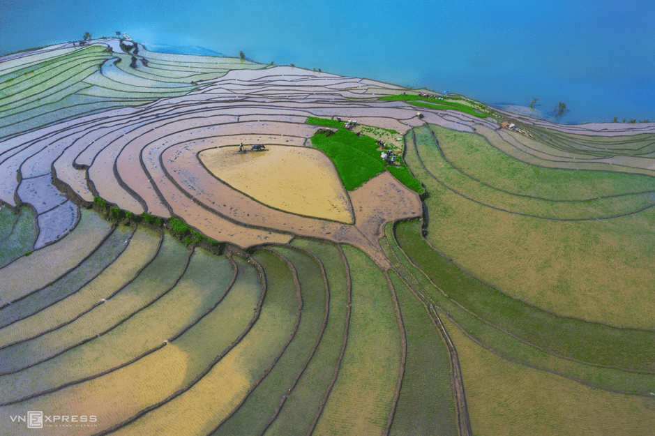 rice terraces in Lao Cai