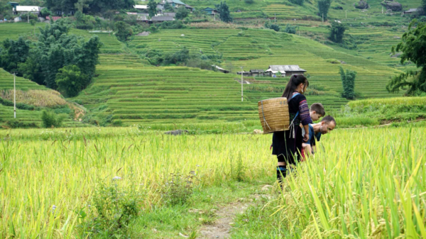 Why Vietnam is one of the best places to travel with kids