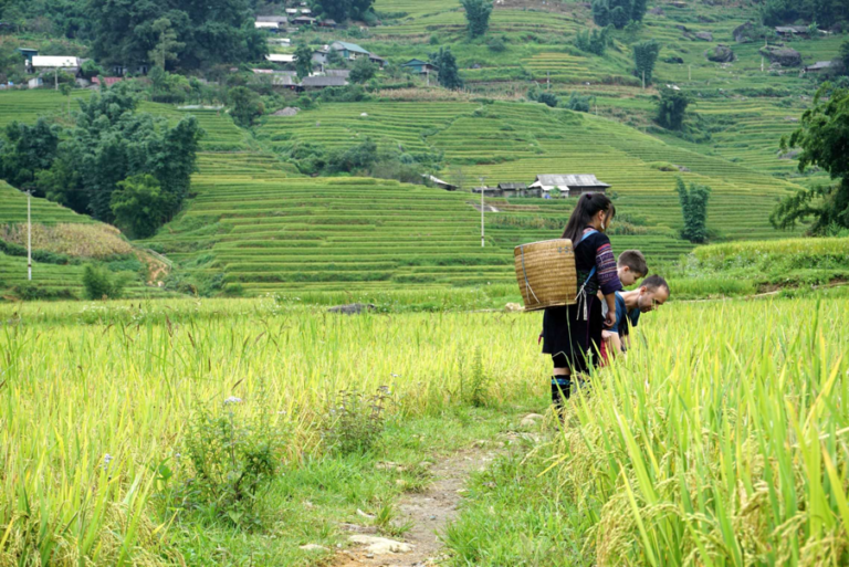 Read more about the article Why Vietnam is one of the best places to travel with kids