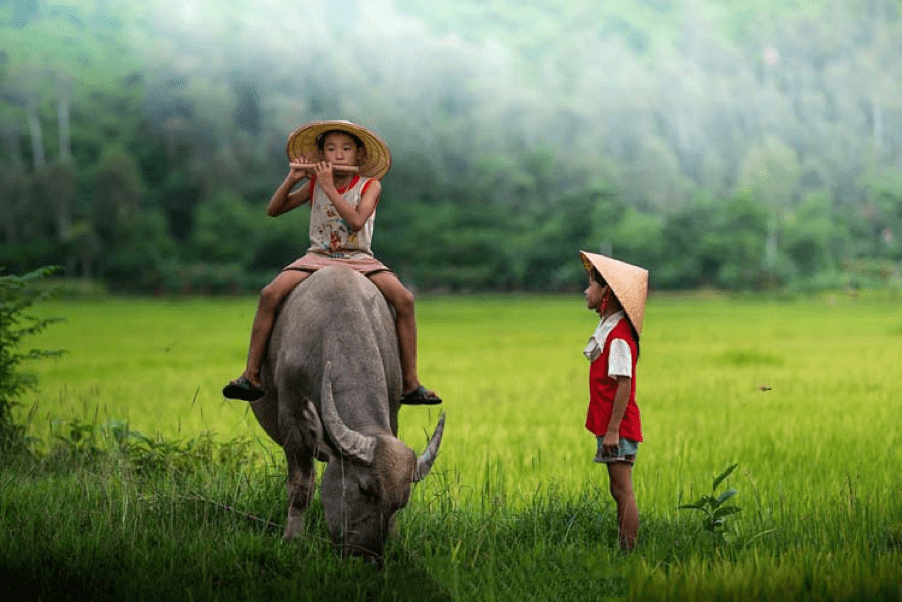 Vietnamese childhood experience