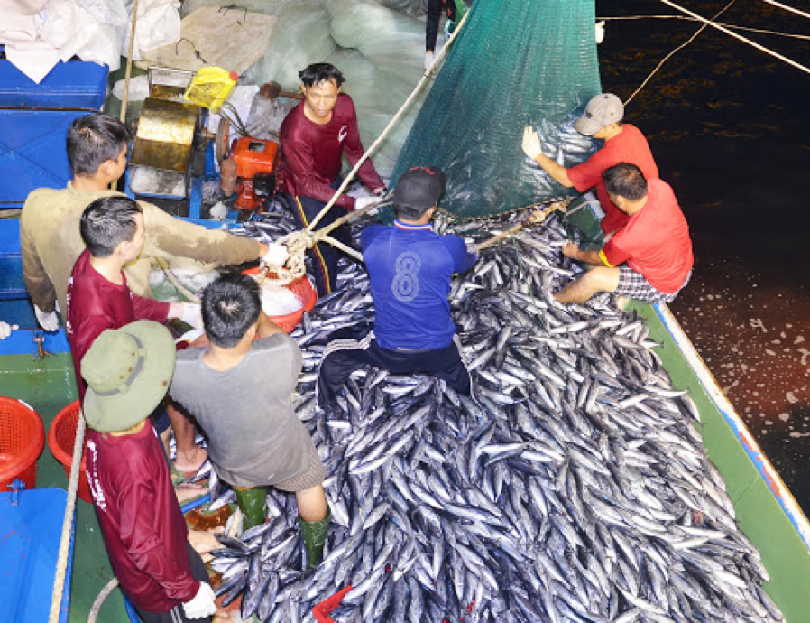 Vietnamese fishermen 
