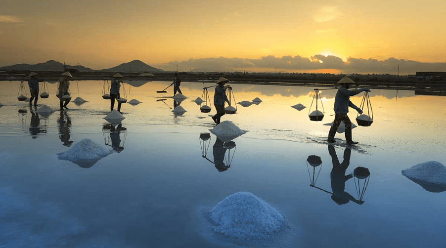 salt field in Vietnam