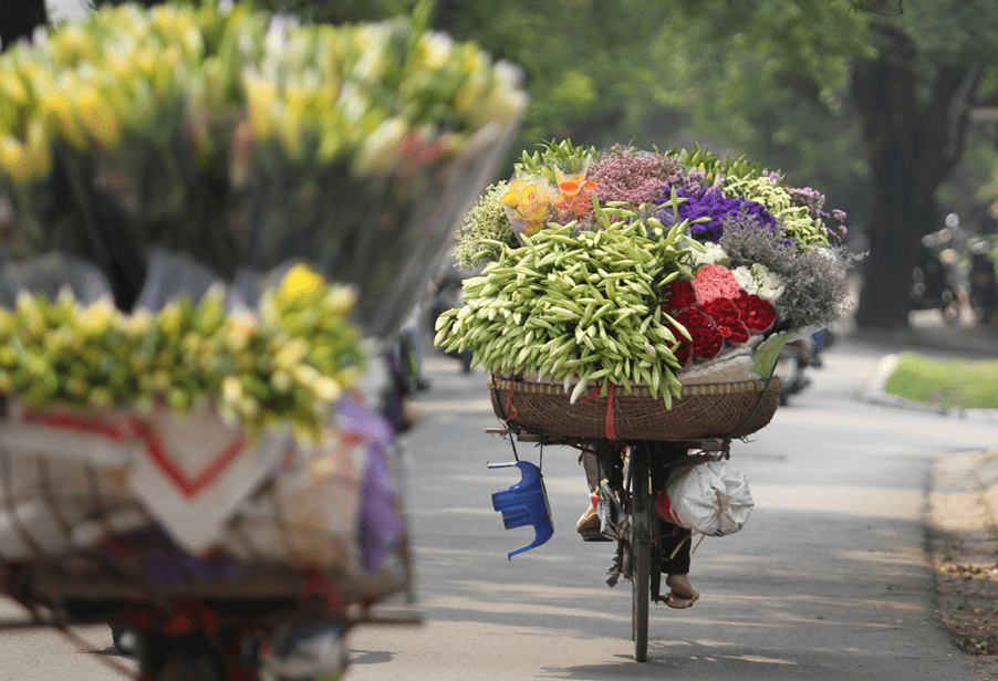 Hanoi 12 flower seasons