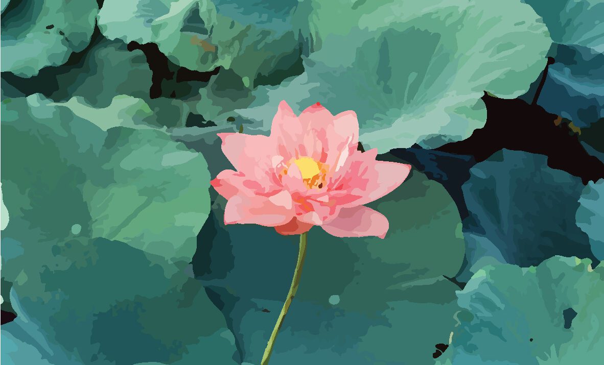 Vietnam lotus