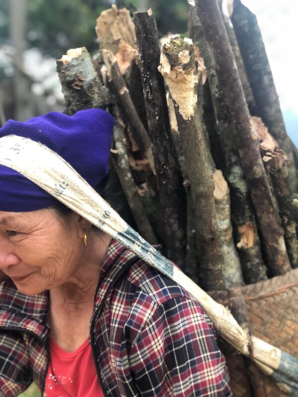 Carrying wood in Pu Luong
