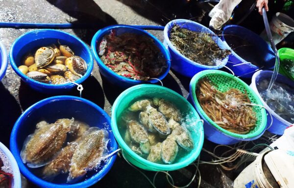 Ha Long seafood market