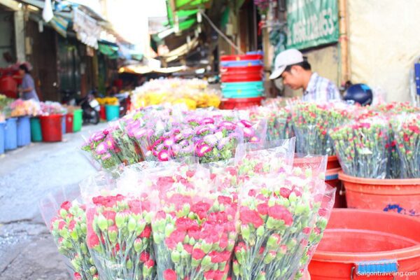Ho Thi Ky flower