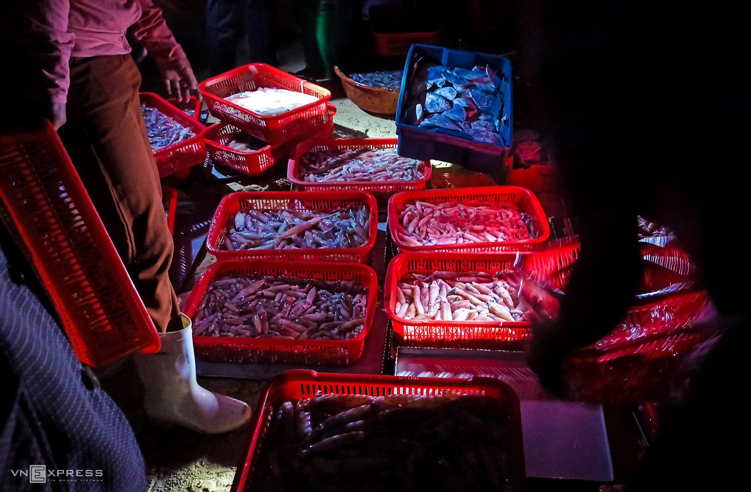 Tam Tien's fish market near Hoian