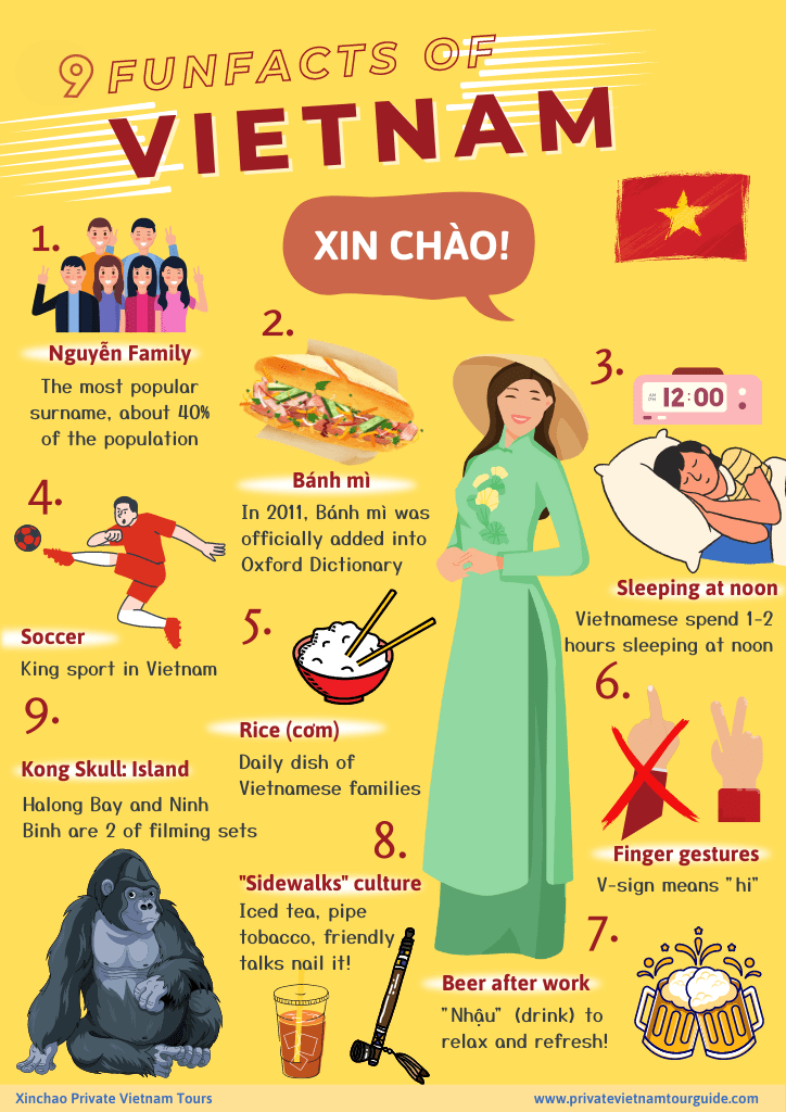 An infographic with 9 fun facts about Vietnam