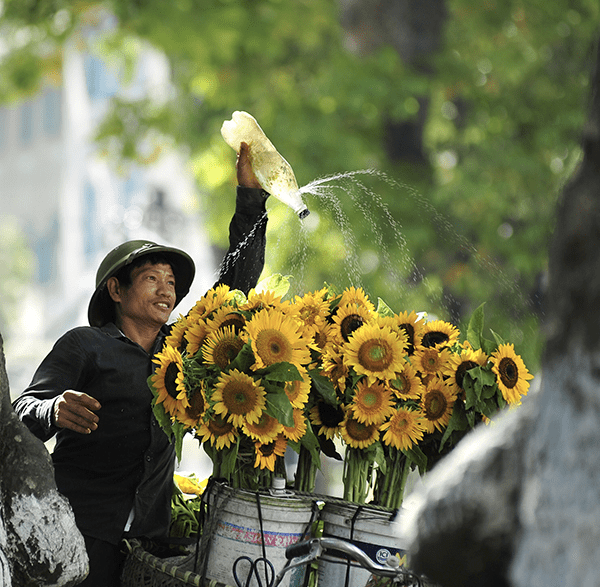 Read more about the article <strong>Charming Facts Of Hanoi</strong>