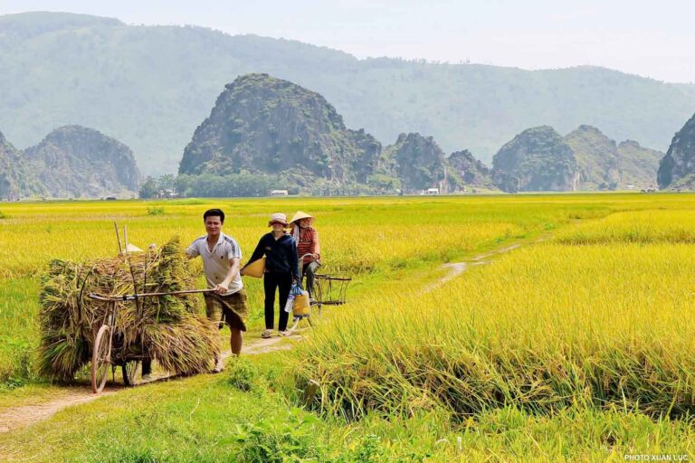 Read more about the article Vietnamese Countryside: A Picturesque Mosaic
