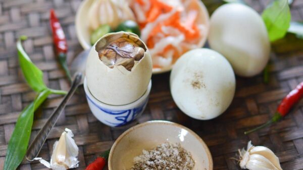 10 Craziest Food in Vietnam – Dare Me Try!
