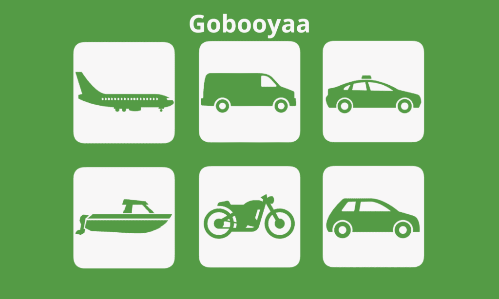Gobooyaa can provide any type of transportation that you prefer