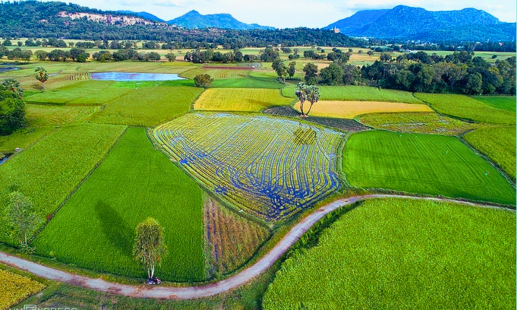 Ta Pa rice terraces (An Giang)