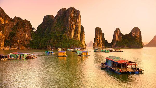 Vietnam Revealed: Best Tours for Every Type of Traveler