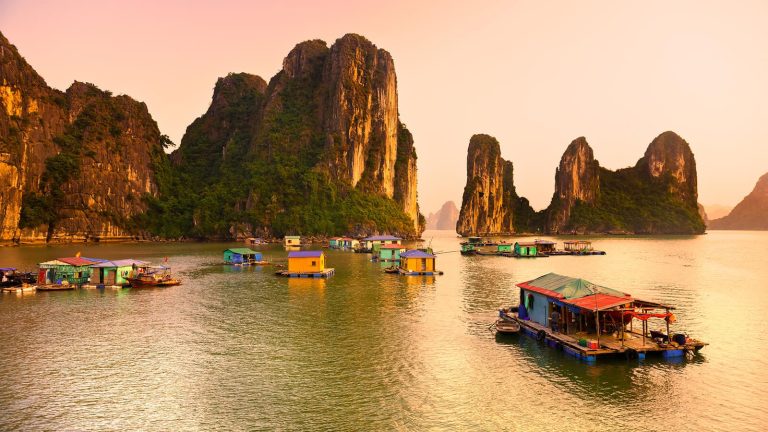 Read more about the article Vietnam Revealed: Best Tours for Every Type of Traveler